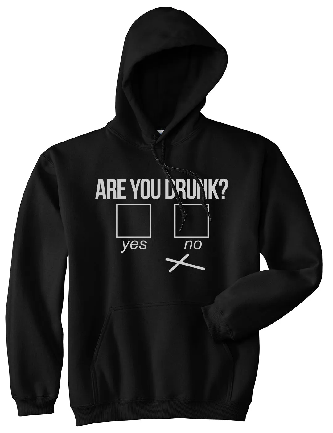 Are You Drunk Funny Beer Drinking Party Mens Pullover Hoodie